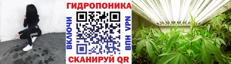 Купить закладки  Суровикино  Бошки Шишки LSD WEED 